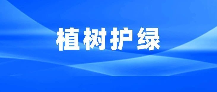 法治土壤育新绿 司法守护生态林